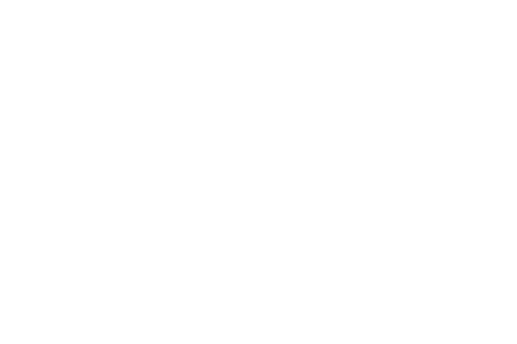 dav_logo_lp