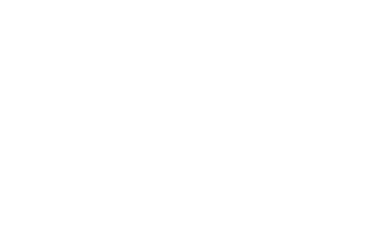 dream_logo_lp
